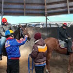 ［連載・片目のサラブレッド福ちゃんのPERFECT DAYS］そして、バトンは渡された（シーズン1-54）