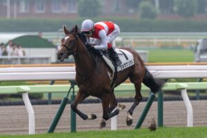 新馬戦回顧］メイクデビューの勝者達(2025/07/06) | ウマフリ