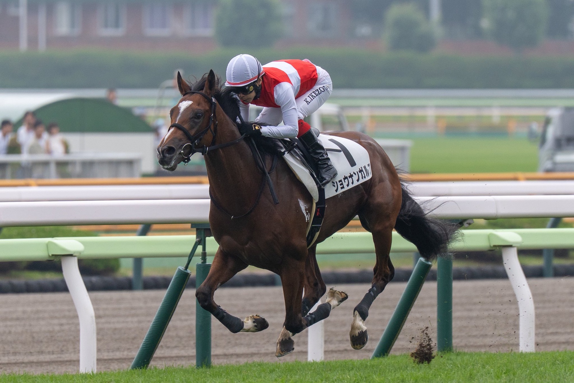 ［新馬戦回顧］メイクデビューの勝者達(2025/07/06)