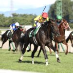 季節のはざまを駆け抜けて。遅咲きの名馬・カラテの引退によせて