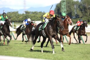 季節のはざまを駆け抜けて。遅咲きの名馬・カラテの引退によせて