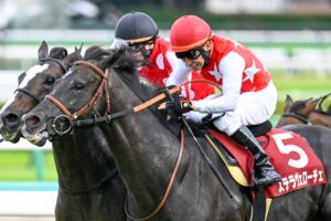 諦めなかった者の頭上に、星は瞬く。不屈のファイター、ステラヴェローチェ