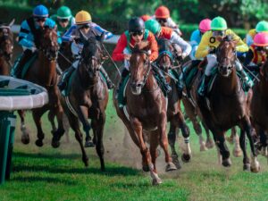 ［重賞回顧］あの日の勝負服、もう一度─柴田大知とコスモフリーゲンの星に願いを～2025年・七夕賞～