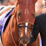 凡走か、激走か。唯一無二の重賞ハンター、クラレント