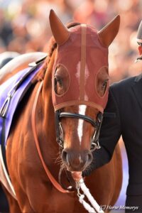 凡走か、激走か。唯一無二の重賞ハンター、クラレント