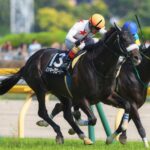 【期限切れ単複馬券】　日本ダービー　2015/5/31 ドゥラメンテ　ウマ娘 名実況列伝＃11（特別版） 2015年東京優駿 ～もはや趣？意図せぬ