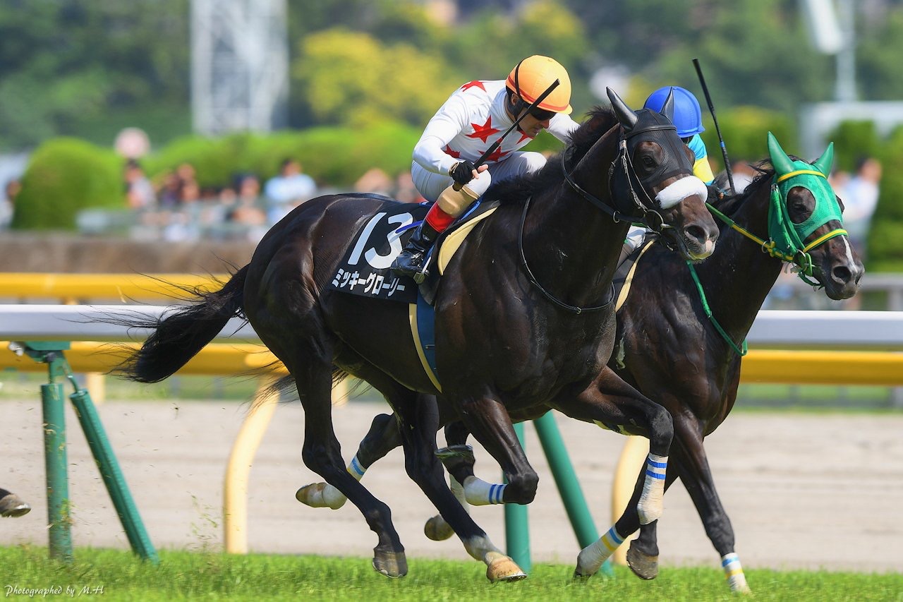父から翼を授かって…。大型馬ミッキーグローリーが制した2018年・関屋記念を振り返る