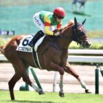 ［新馬戦回顧］メイクデビューの勝者達(2025/07/26)