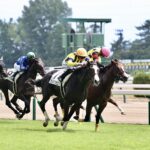 ［新馬戦回顧］メイクデビューの勝者達(2025/07/27)