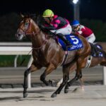 北の大地から未来へ響く蹄音。ソルジャーフィルド、道営三冠の先に待つ高み