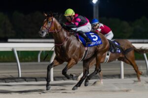 北の大地から未来へ響く蹄音。ソルジャーフィルド、道営三冠の先に待つ高み