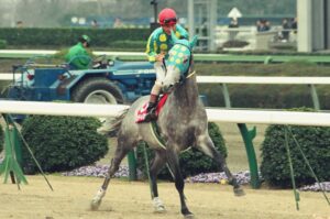 芦毛伝説の“語られざる章”を担った馬ホクトヘリオス。若き柴田善臣騎手との蹄跡を紐解く