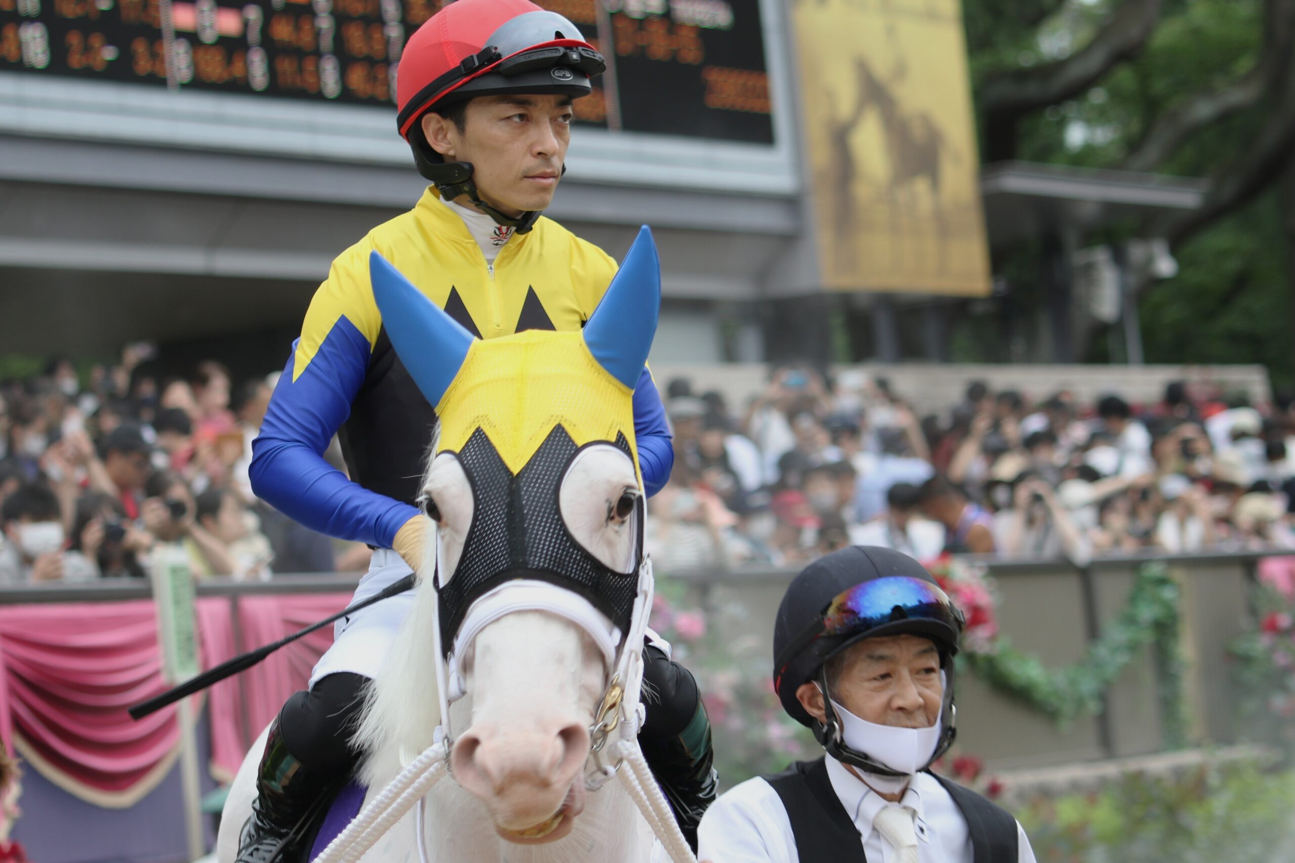 アマンテビアンコとカワダユウガ。美由紀さんの「白馬に乗った王子様」