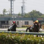 「夏競馬の暑熱対策」で変化する、夏競馬の新しい楽しみ方!