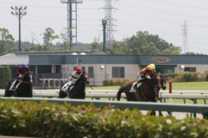 「夏競馬の暑熱対策」で変化する、夏競馬の新しい楽しみ方！