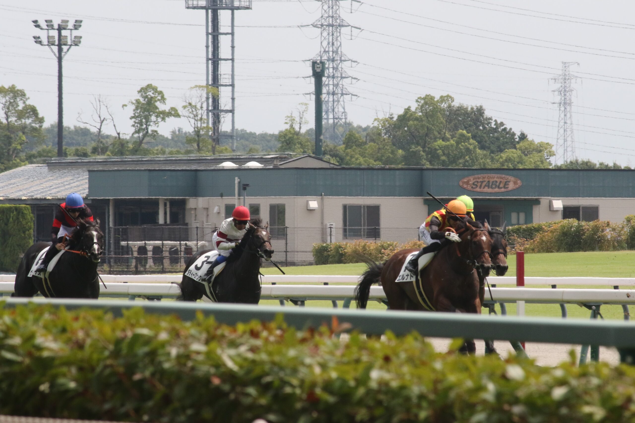 「夏競馬の暑熱対策」で変化する、夏競馬の新しい楽しみ方!