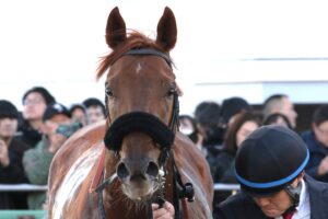 「ベリー・ベリー・ホース」のダノンデサイル、“欧州の壁”に挑むも悔しい5着。2025年インターナショナルステークスを振り返る