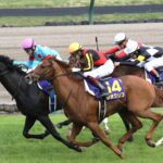 皐月賞馬・ジオグリフ引退に寄せて。ジオグリフが刻んだ「挑戦の足跡」を振り返る