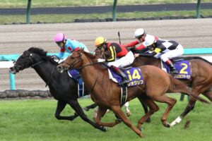 皐月賞馬・ジオグリフ引退に寄せて。ジオグリフが刻んだ「挑戦の足跡」を振り返る