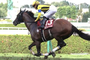 ［現役引退］さらば、プログノーシス！　夢は次世代へ。プログノーシスが輝いた2023年札幌記念を振り返る