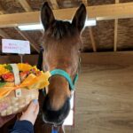 ［連載・片目のサラブレッド福ちゃんのPERFECT DAYS］すべての見えない光（シーズン1-58）