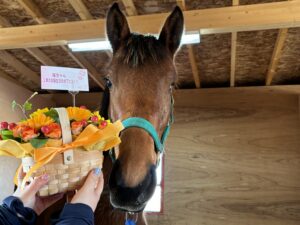 ［連載・片目のサラブレッド福ちゃんのPERFECT DAYS］すべての見えない光（シーズン1-58）