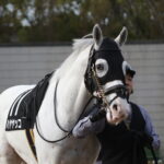 奇跡の血脈から生まれた無事是名馬 - 2019年ハヤヤッコが勝利したレパードSを振り返る