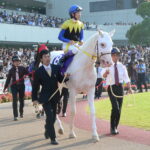 アイドル性と実力の掛け算。思い出の白毛馬、ユキチャン