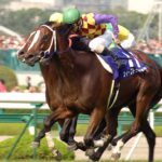 スイープトウショウ〜わがまま王女様が駆け上がる、グランプリの階段〜