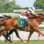 ［重賞回顧］届くか、逃げ切るか。灼熱の中京”駆け引きの美学”～2025年・中京記念～