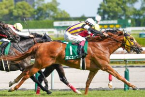 ［重賞回顧］届くか、逃げ切るか。灼熱の中京”駆け引きの美学”～2025年・中京記念～