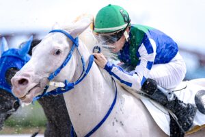 ［インタビュー］アオラキ、笠松の移籍初戦を終えて。笹野調教師が語る手応えと課題