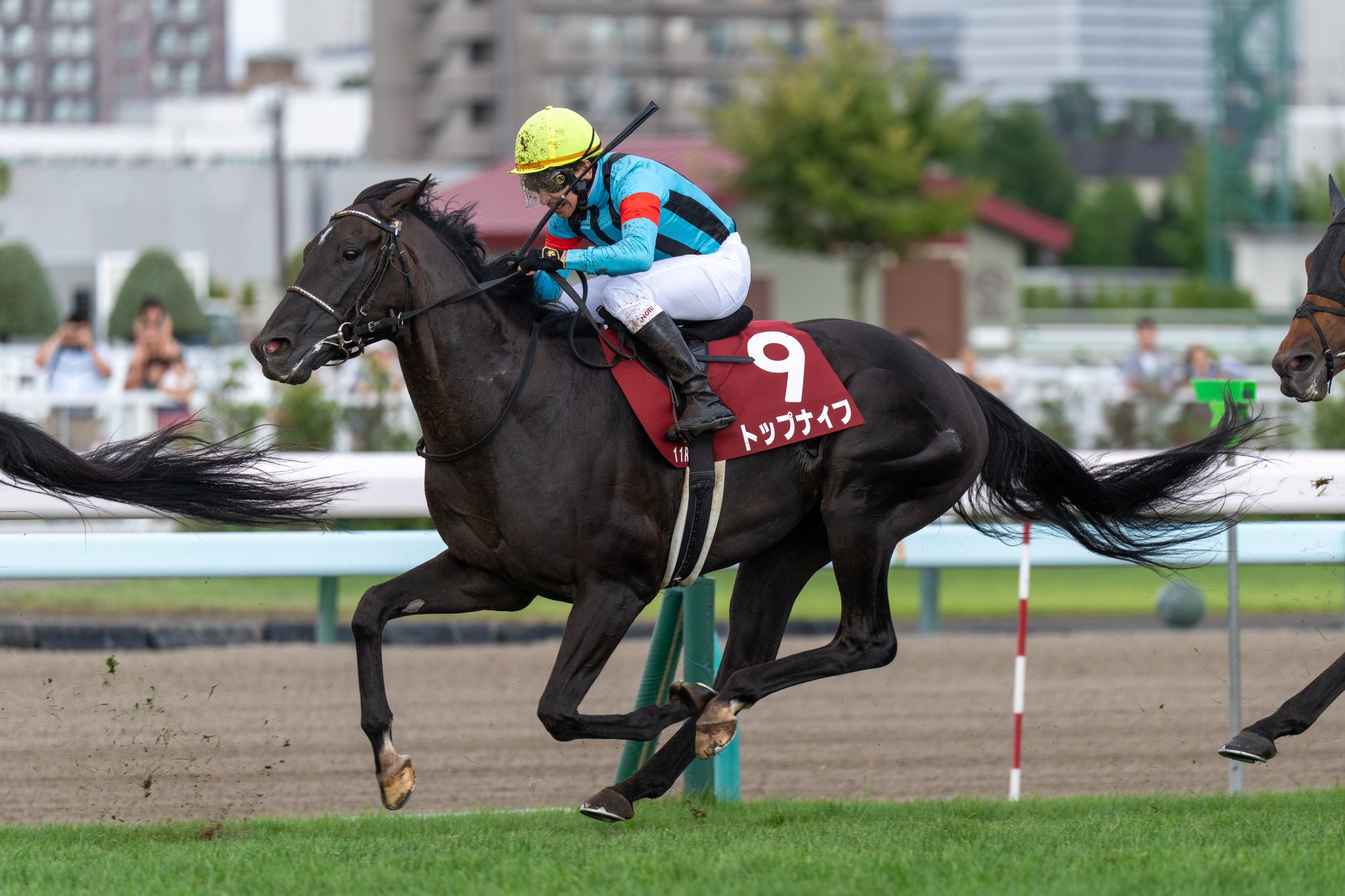 ［重賞回顧］”勝ち筋”に迷いなし。ベテラン人馬、3度目の正直～2025年・札幌記念～