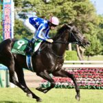 ［今週の競馬］札幌、新潟、中京で夏競馬開催中！札幌では「2026ワールドオールスタージョッキーズ」が開催！