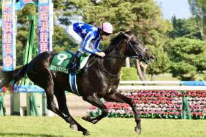 ［今週の競馬］札幌、新潟、中京で夏競馬開催中！札幌では「2026ワールドオールスタージョッキーズ」が開催！