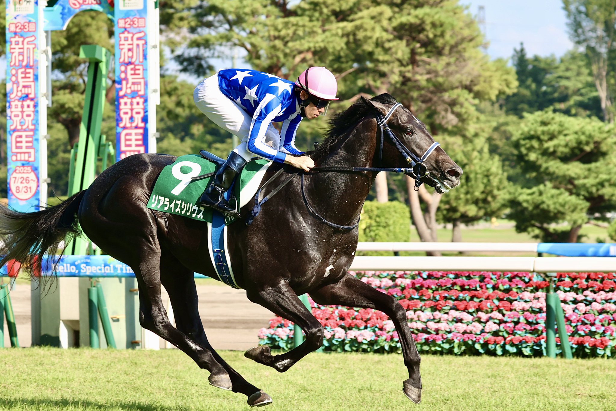 ［今週の競馬］札幌、新潟、中京で夏競馬開催中！札幌では「2026ワールドオールスタージョッキーズ」が開催！