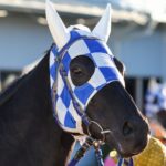 馬がいて、人がいて…。横山和生とハイランドピーク