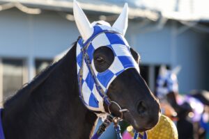 馬がいて、人がいて…。横山和生とハイランドピーク