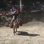 ［連載・クワイトファインプロジェクト］八戸騎馬打毬応援コラム　見せましょう、馬好きの底力を！