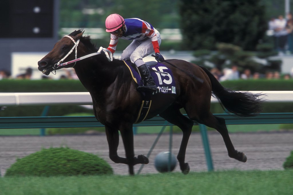 タップ・ダンス・ダンス。最高の鞍上を迎えて道を切り拓いた名馬、タップダンスシチー