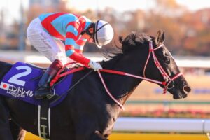 輝きの証明。三冠馬コントレイルが見せた奇跡のような走り - 2021年・ジャパンカップ