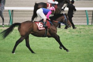 ［メイショウ馬たちの追憶］ダービー馬　メイショウサムソン