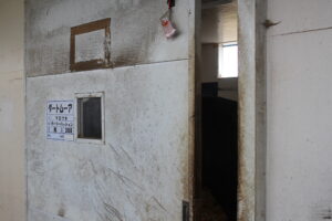 ［連載・片目のサラブレッド福ちゃんのPERFECT DAYS］ゆかりの牝系（シーズン1-64）