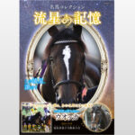 ［本日発売］額に輝く流星（白斑）を手がかりに、名馬たちの記憶をたどる。『名馬コレクション 流星の記憶』が発売開始！