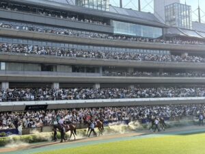 勝利の女神はベテランがお好き？ - ショウリノメガミが勝ったOP時代のアイルランドトロフィーを振り返る