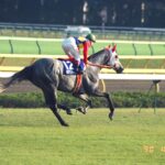 小説家・古井由吉が目撃した、日本競馬の「変わり目」。タマモクロスとオグリキャップが激突した1988年の天皇賞(秋)