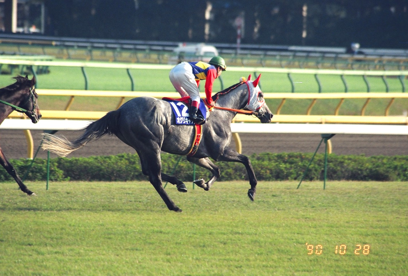 小説家・古井由吉が目撃した、日本競馬の「変わり目」。タマモクロスとオグリキャップが激突した1988年の天皇賞(秋)
