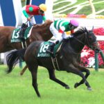 秋の風に舞う。ルージュバックと私の毎日王冠