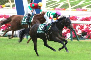 秋の風に舞う。ルージュバックと私の毎日王冠