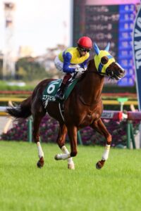 堅実さが武器となった日。エアスピネルが勝利した2017年富士ステークスを振り返る